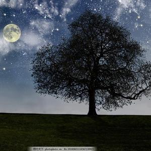 农村女人偷人一级大毛片-高清DVD高清完整版-成人AV
